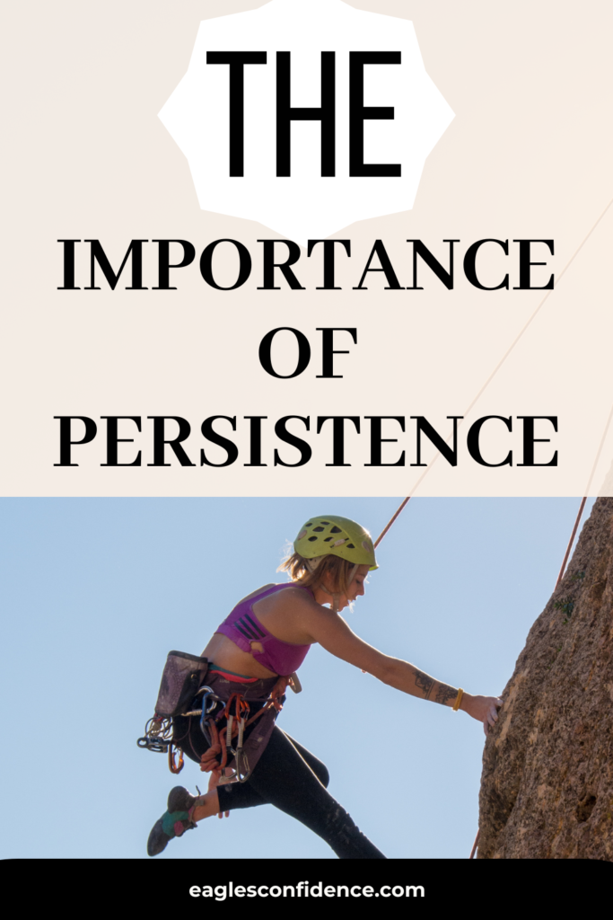 The Importance of Persistence